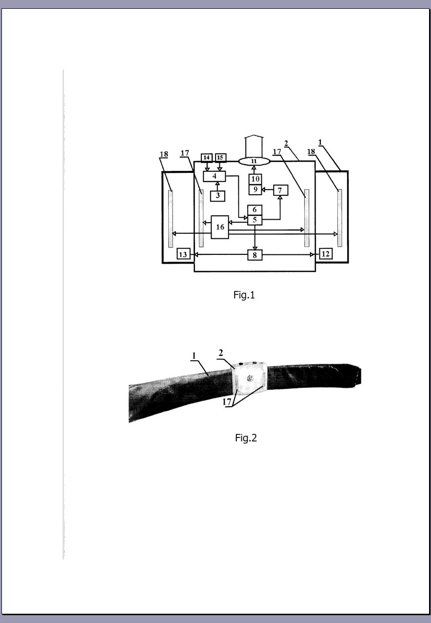 OMLEX THERAPEUTIC EFFECT DEVICE FOR DIABETES TREATMENT