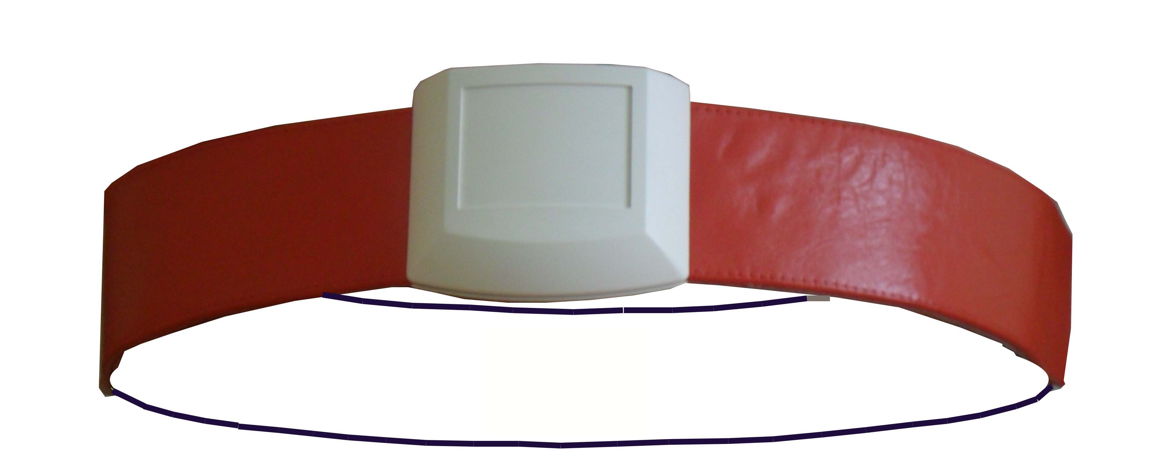 Anti diabetic belt
